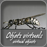 Objet Virtuel - Virtual Object