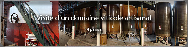 Visite virtuelle en photo 360 panoramique du domaine viticole des champs de Guerine a Pouzolles