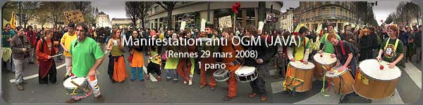 Manifestation anti OGM 29 mars 2008 - Rennes
