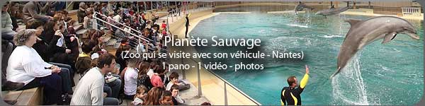 Plante Sauvage - Zoo - Nantes