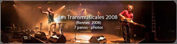 Le festival des Transmusicales de Rennes 2008